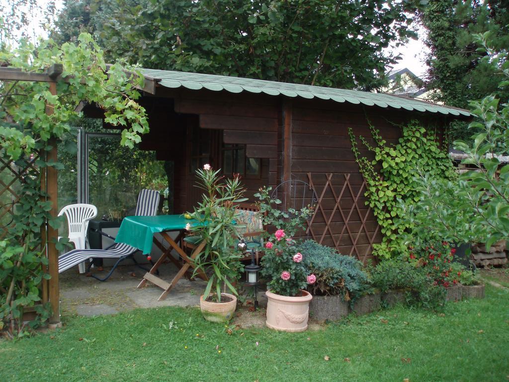 Ferienwohnung Anna Scheid Kelberg Ngoại thất bức ảnh